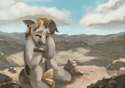 Size: 4096x2897 | Tagged: safe, artist:toisanemoif, oc, oc only, species:earth pony, species:pony, crying, male, rock, ruins, sitting, solo, stallion