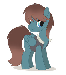 Size: 1914x2174 | Tagged: safe, artist:dyonys, oc, oc only, oc:dream ace, species:pegasus, species:pony, clothing, fur, male, simple background, smiling, solo, stallion, standing, transparent background, vest
