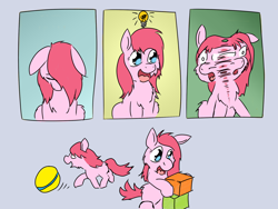 Size: 2048x1536 | Tagged: safe, artist:fluffsplosion, oc, oc only, asexual reproduction, comic, fluffy pony, mitosis, ponidox, self ponidox, weirdbox