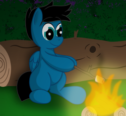 Size: 3600x3300 | Tagged: safe, artist:agkandphotomaker2000, oc, oc:pony video maker, species:pegasus, species:pony, campfire, drawing, food, forest, log, marshmallow, roasting, simple background, sitting, wooden stick