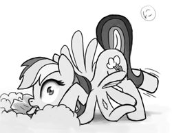 Size: 800x621 | Tagged: safe, artist:nimaru, character:rainbow dash, species:pony, face down ass up, female, monochrome, rainbow crash, solo, tongue out