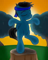 Size: 2643x3300 | Tagged: safe, artist:agkandphotomaker2000, oc, oc only, oc:pony video maker, species:pegasus, species:pony, crane move, headband, karate kid, reference, show accurate, solo, sunset, tree, tree stump