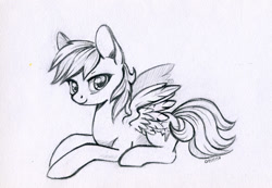 Size: 800x555 | Tagged: safe, artist:maytee, character:rainbow dash, species:pegasus, species:pony, female, grayscale, looking at you, mare, monochrome, pencil drawing, prone, simple background, solo, traditional art, white background