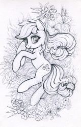 Size: 600x944 | Tagged: safe, artist:maytee, character:applejack, species:earth pony, species:pony, cute, female, flower, grass, grayscale, hatless, jackabetes, looking at you, mare, missing accessory, monochrome, on side, pencil drawing, smiling, solo, traditional art
