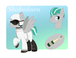 Size: 2587x1985 | Tagged: safe, artist:dyonys, oc, oc:shakedown, species:pegasus, species:pony, bust, champagne, clothing, helmet, male, racer, reference sheet, stallion