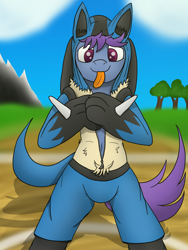 Size: 3024x4032 | Tagged: safe, artist:tacomytaco, oc, oc only, oc:windy dripper, species:pegasus, species:pony, belly button, bipedal, clothing, costume, crossover, cute, dressup, lucario, male, pokémon, pokémon hoodie, tongue out