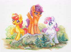 Size: 1600x1178 | Tagged: safe, artist:maytee, character:apple bloom, character:scootaloo, character:sweetie belle, species:earth pony, species:pegasus, species:pony, species:unicorn, g4, adorabloom, colored pencil drawing, cute, cutealoo, cutie mark crusaders, diasweetes, female, filly, profile, raised hoof, spread wings, three quarter view, traditional art, trio, wings