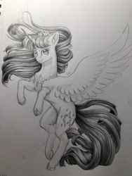 Size: 3024x4032 | Tagged: safe, artist:tillie-tmb, character:twilight sparkle, character:twilight sparkle (alicorn), species:alicorn, species:pony, g4, female, grayscale, monochrome, pencil drawing, simple background, solo, traditional art, white background