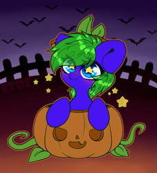 Size: 2000x2200 | Tagged: safe, artist:etoz, oc, oc only, oc:aquagrass, species:bat, species:pony, g4, blushing, chibi, commission, cute, female, halloween, holiday, mare, pumpkin, smiling, starry eyes, stars, wingding eyes, ych result