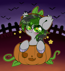 Size: 2000x2200 | Tagged: safe, artist:etoz, oc, oc only, species:bat, species:bat pony, species:pony, g4, bat pony oc, bat wings, blushing, chibi, commission, cute, fangs, halloween, holiday, male, pumpkin, smiling, stallion, starry eyes, stars, wingding eyes, wings, ych result