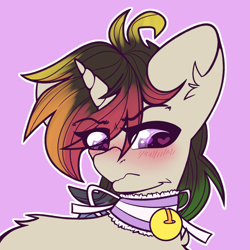 Size: 2000x2000 | Tagged: safe, artist:etoz, oc, oc only, oc:agap, species:pony, species:unicorn, g4, angry, bell, bell collar, blushing, cat bell, collar, cute, eyebrows, femboy, heart eyes, horn, looking away, male, multicolored hair, rainbow hair, simple background, solo, stallion, tsundere, unicorn oc, wingding eyes