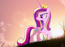Size: 4444x3227 | Tagged: safe, artist:zidanemina, character:princess cadance, species:alicorn, species:pony, g4, absurd resolution, cutie mark, dusk, female, grass, looking back, mare, raised hoof, smiling, solo, sun