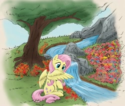 Size: 2715x2292 | Tagged: safe, artist:otakuap, character:fluttershy, female, preening, river, sitting, solo, tree