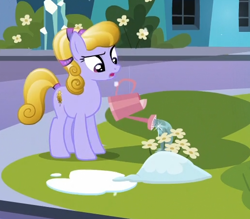 Size: 518x454 | Tagged: safe, screencap, species:crystal pony, species:pony, episode:the crystalling, g4, my little pony: friendship is magic, confused, flower, frozen, watering can