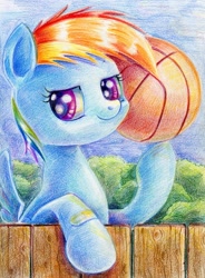 Size: 700x951 | Tagged: safe, artist:maytee, character:rainbow dash, ball, basketball, female, filly, filly rainbow dash, solo, traditional art, younger