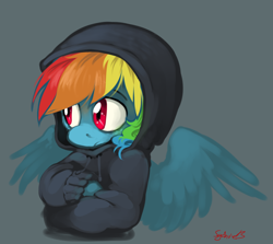 Size: 960x857 | Tagged: safe, artist:xenon, character:rainbow dash, clothing, female, hoodie, solo