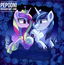 Size: 664x669 | Tagged: safe, artist:pepooni, character:princess cadance, character:shining armor, ship:shiningcadance, crown, female, flower, jewelry, looking at each other, male, night, prone, regalia, rose, shipping, straight