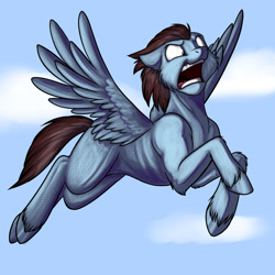 Size: 1280x1280 | Tagged: safe, artist:foxenawolf, oc, oc only, oc:calm wind, determined, flying, funny, muscles, open mouth, pegasus posse, silly, solo, spread wings, unshorn fetlocks, wide eyes, wings