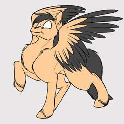 Size: 1280x1280 | Tagged: safe, artist:foxenawolf, oc, oc only, oc:playbitz, species:pegasus, species:pony, :t, fluffy, funny, goober, mating dance, nose wrinkle, pegasus posse, raised hoof, spread wings, strut, two toned wings, unshorn fetlocks, wide eyes, wings