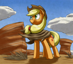 Size: 4065x3569 | Tagged: safe, artist:otakuap, character:applejack, clothing, cloud, cloudy, colored pupils, desert, ear fluff, female, looking away, poncho, shadow, solo, wind, windswept mane