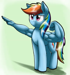 Size: 3301x3559 | Tagged: safe, artist:otakuap, character:rainbow dash, arms, female, flexing, high res, muscles, not salmon, solo, wat, what has science done, wing arms