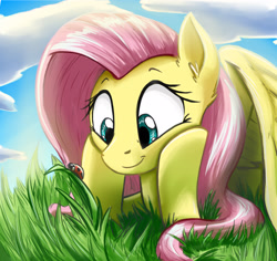 Size: 2920x2755 | Tagged: safe, artist:otakuap, character:fluttershy, species:pegasus, species:pony, cloud, cute, ear fluff, female, grass, insect, ladybug, looking at something, mare, prone, shyabetes, sky, smiling, solo, spread wings, watching, wings