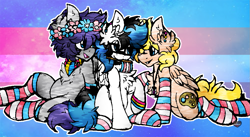 Size: 1181x646 | Tagged: safe, artist:iroxykun, oc, oc only, oc:frozen soul, oc:palette, oc:sweater weather, species:pegasus, species:pony, clothing, cutie mark, demisexual, demisexual pride flag, flag, male, ot3, pansexual, pansexual pride flag, pride, socks, striped socks, transgender, transgender pride flag, wings