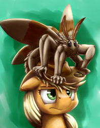 Size: 2087x2644 | Tagged: safe, artist:otakuap, character:applejack, oc, oc:fluffy the bringer of darkness, species:pony, animal, arms, buff, do you even lift, female, floppy ears, frown, giant insect, giant moth, green background, insect, mare, meme, moth, nightmare fuel, not salmon, simple background, unamused, wat, what has science done
