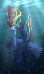Size: 800x1323 | Tagged: safe, artist:falleninthedark, character:rainbow dash, air bubble, bubble, drowning, female, holding breath, peril, seaweed, solo, underwater