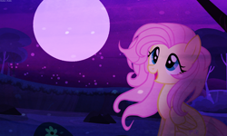 Size: 1500x900 | Tagged: safe, artist:asika-aida, character:fluttershy, female, night, solo