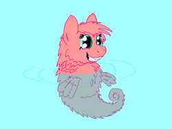 Size: 800x600 | Tagged: safe, artist:fluffsplosion, species:sea pony, fluffy pony, fluffy pony original art, fluffy seapony, seahorse
