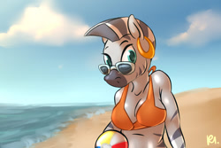 Size: 1280x853 | Tagged: safe, artist:bluecoffeedog, character:zecora, species:anthro, species:zebra, ball, beach, beach ball, breasts, busty zecora, female, solo, sunglasses