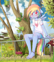 Size: 1850x2100 | Tagged: safe, artist:hoodie, character:rainbow dash, species:anthro, species:plantigrade anthro, anklet, barefoot, blushing, bracelet, clothing, cute, dashabetes, detailed, feet, female, floppy ears, food, forest, grass, hoodie, ice cream, lamppost, looking at you, mouth hold, mushroom, outdoors, park, popsicle, sea salt ice cream, shirt, shorts, sitting, solo, toes