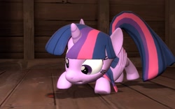 Size: 1152x720 | Tagged: safe, artist:pika-robo, character:twilight sparkle, character:twilight sparkle (alicorn), species:alicorn, species:pony, 3d, behaving like a cat, behaving like a dog, dot, female, gmod, laser pointer, mare, twilight cat