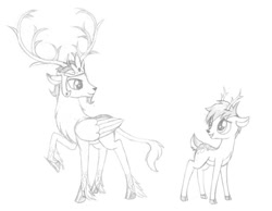 Size: 800x621 | Tagged: safe, artist:sirzi, oc, oc only, oc:prince vernalis, species:deer, branches for antlers, deer oc, duo, eikerren, fordeer, grayscale, male, monochrome, non-pony oc, pencil drawing, stag, traditional art, wings