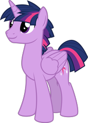 Size: 4296x6000 | Tagged: safe, artist:magister39, character:twilight sparkle, character:twilight sparkle (alicorn), oc:dusk shine, species:alicorn, species:pony, absurd resolution, cute, duskabetes, folded wings, inkscape, male, prince dusk, rule 63, rule63betes, simple background, solo, stallion, transparent background, vector