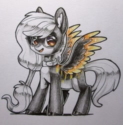 Size: 1063x1080 | Tagged: safe, artist:aphphphphp, oc, oc only, species:pegasus, species:pony, collar, colored wings, colored wingtips, solo, traditional art, unshorn fetlocks