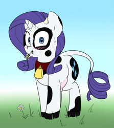 Size: 1451x1626 | Tagged: safe, artist:victoreach, character:rarity, species:cow, bell, blushing, caught, collar, cowbell, cowified, eating, female, flower, raricow, solo, species swap, udder