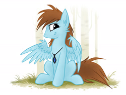 Size: 2200x1664 | Tagged: safe, artist:kejifox, oc, oc only, oc:sorren, species:pegasus, species:pony, cute, grass, grin, jewelry, looking at you, necklace, pose, simple background, sitting, smiling, solo, wings