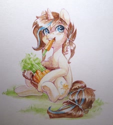Size: 978x1080 | Tagged: safe, artist:aphphphphp, oc, oc only, species:earth pony, species:pony, species:unicorn, basket, carrot, eating, food, sitting, solo, traditional art, watercolor painting