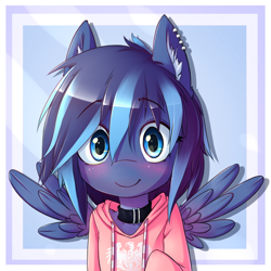 Size: 650x650 | Tagged: safe, artist:hoodie, oc, oc only, species:pegasus, species:pony, bust, clothing, collar, ear fluff, hoodie, looking at you, piercing, portrait, semi-anthro, solo