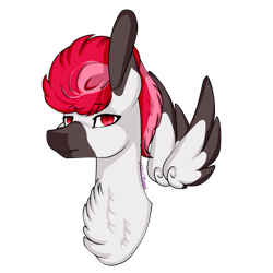 Size: 1024x1024 | Tagged: safe, artist:xxmissteaxx, oc, oc only, oc:bloodbath, species:pegasus, species:pony, bust, chest fluff, floating wings, male, portrait, simple background, solo, stallion, transparent background
