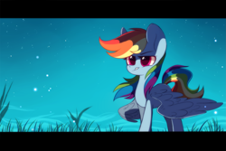Size: 2449x1632 | Tagged: safe, artist:mirtash, rcf community, character:rainbow dash, species:pegasus, species:pony, g4, black bars, eyebrows, female, grass, mare, night, night sky, sky, solo, standing, starry night, stars, three quarter view, wings