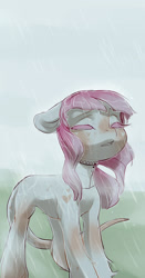 Size: 1004x1920 | Tagged: safe, artist:aphphphphp, oc, oc only, cat tail, eyes closed, rain, solo, unshorn fetlocks, wet, wet mane