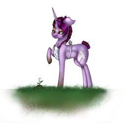 Size: 1024x1024 | Tagged: safe, artist:xxmissteaxx, oc, oc only, species:pony, species:unicorn, apron, clothing, female, floppy ears, looking down, mare, plant, raised hoof, solo