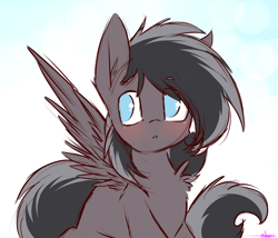 Size: 2530x2162 | Tagged: safe, artist:ashee, oc, oc only, oc:shadow, species:pegasus, species:pony, blue eyes, blushing, cute, male, simple background, sketch, solo, wings