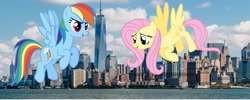 Size: 1959x780 | Tagged: safe, artist:jawsandgumballfan24, character:fluttershy, character:rainbow dash, species:pony, empire state building, giant pony, irl, macro, new york city, one world trade center, photo, ponies in real life, skyscraper
