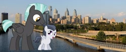 Size: 1870x779 | Tagged: safe, artist:jawsandgumballfan24, character:rumble, character:thunderlane, species:pony, brothers, giant pony, irl, macro, philadelphia, photo, ponies in real life