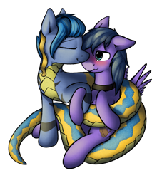 Size: 4889x5394 | Tagged: safe, artist:ampderg, oc, oc only, oc:feather freight, oc:selina, species:lamia, species:pegasus, species:pony, absurd resolution, blushing, coils, collar, cuddling, cute, original species