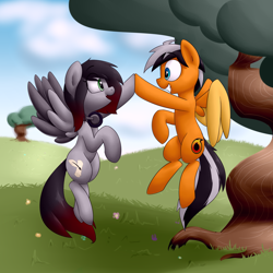 Size: 1280x1280 | Tagged: safe, artist:victoreach, oc, oc only, oc:onyx penstroke, oc:renard prower, species:pony, cloud, cloudy, colored wings, colored wingtips, commission, duo, excited, eye contact, floating, flying, friendship, happy, headphones, hill, hoofbump, looking at each other, multicolored hair, multicolored wings, open mouth, raised hoof, smiling, spread wings, wings
